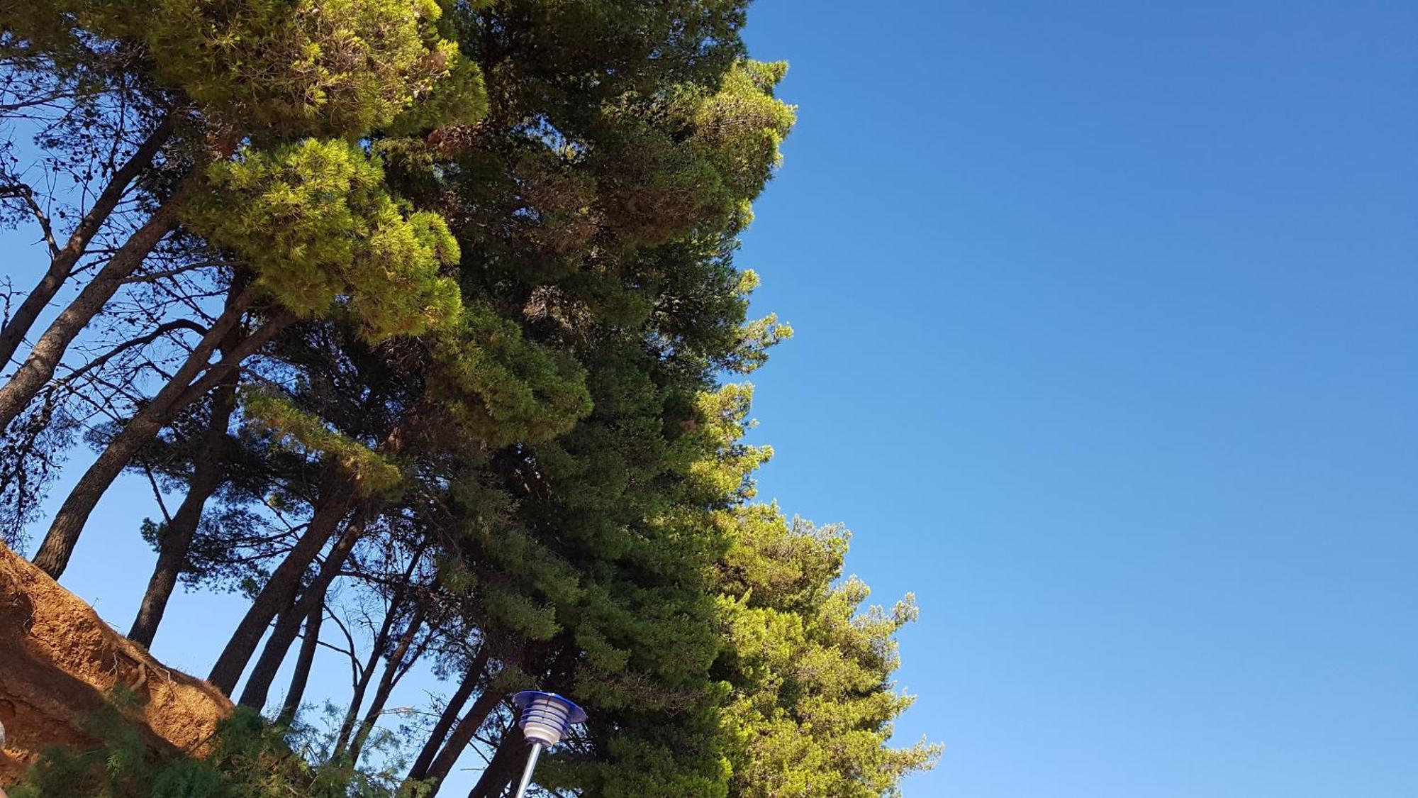 Apartmani Maver Sveti Filip i Jakov Buitenkant foto