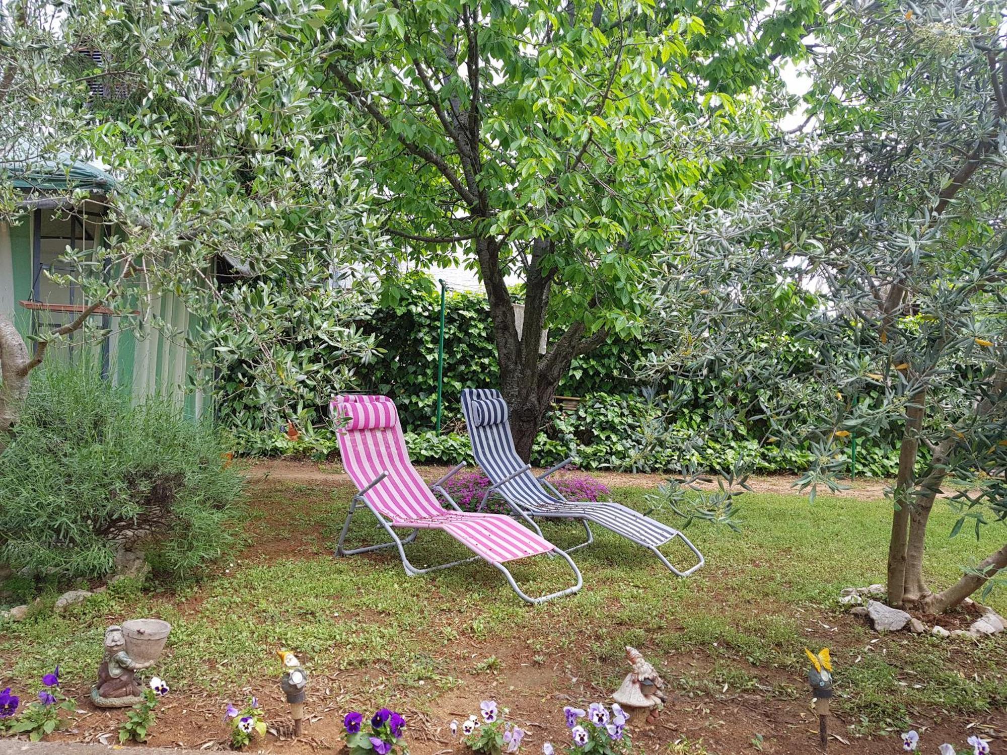 Apartmani Maver Sveti Filip i Jakov Buitenkant foto